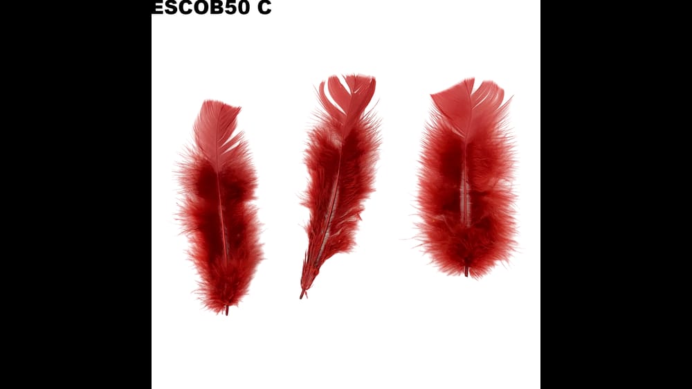 Pluma escobeta bolsa de 50 g C