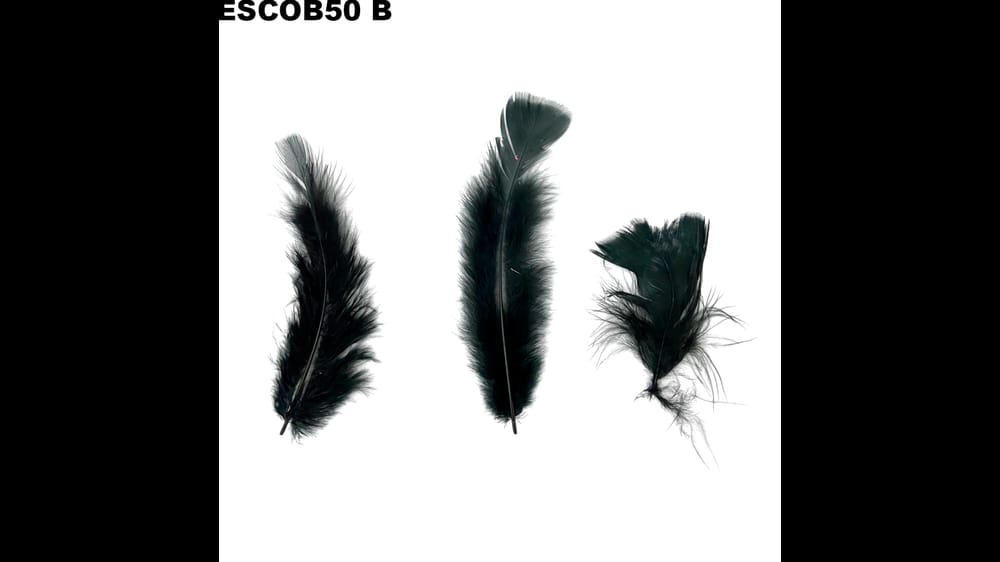Pluma escobeta bolsa de 50 g B
