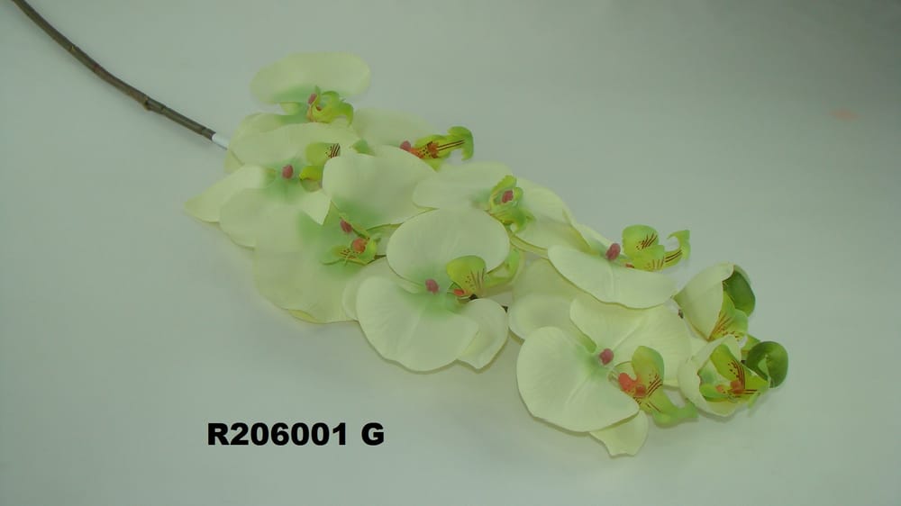 vara orquidea jumbo *10 G