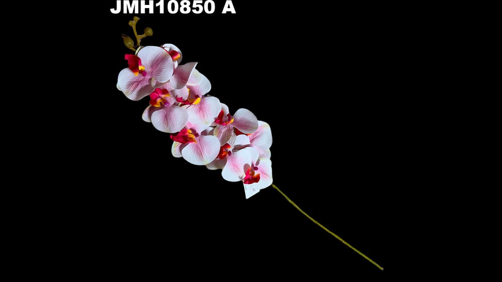 Vara jumbo de orquidea*9 . Mide 1 metro A
