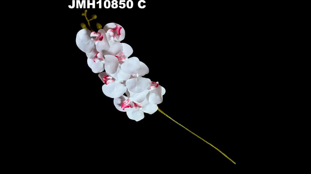 Vara jumbo de orquidea*9 . Mide 1 metro C