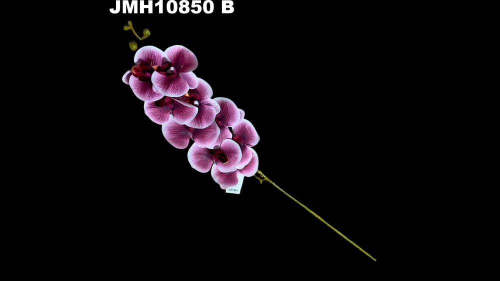 Vara jumbo de orquidea*9 . Mide 1 metro B