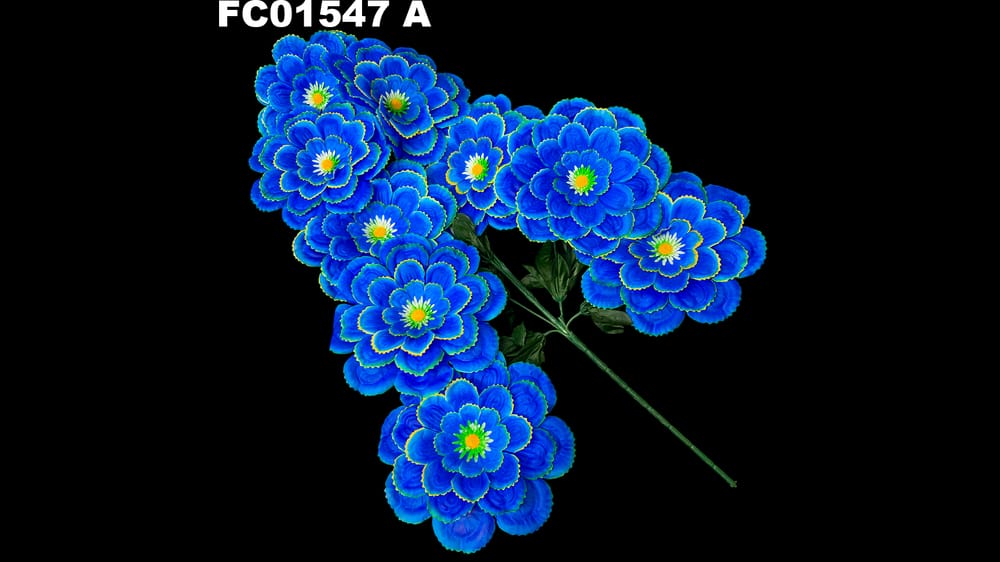 Ramo grande de 8 dhalias jumbo . Flor de 23 cm A