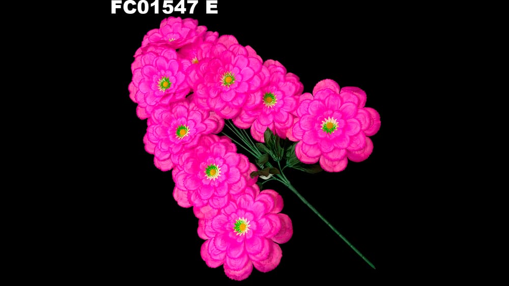 Ramo grande de 8 dhalias jumbo . Flor de 23 cm E