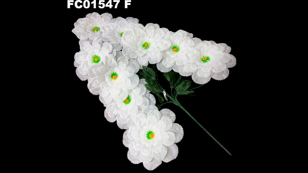 Ramo grande de 8 dhalias jumbo . Flor de 23 cm F