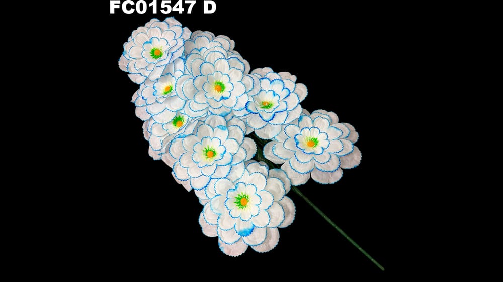 Ramo grande de 8 dhalias jumbo . Flor de 23 cm D