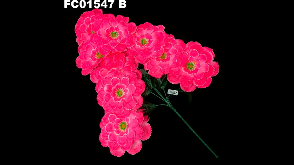 Ramo grande de 8 dhalias jumbo . Flor de 23 cm B