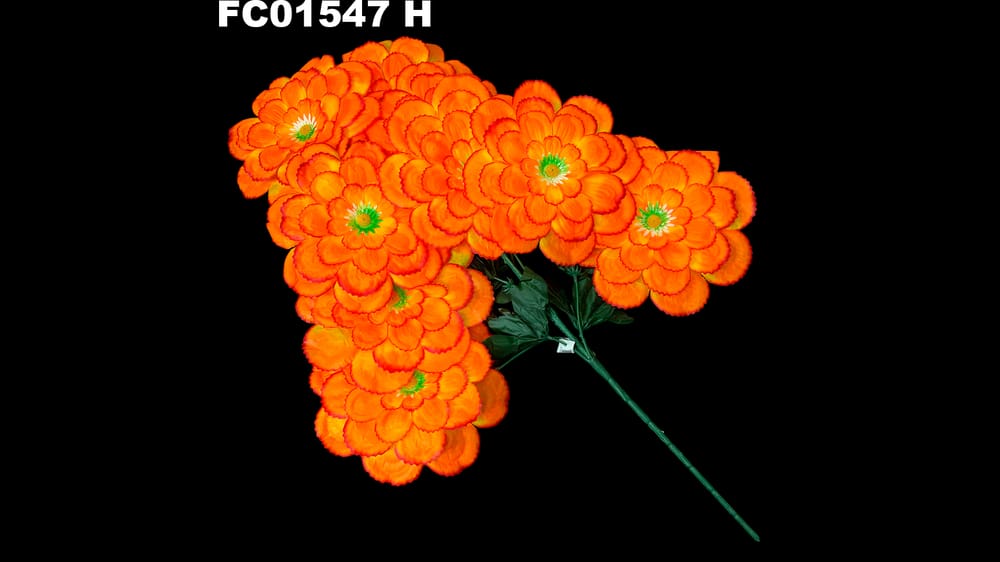 Ramo grande de 8 dhalias jumbo . Flor de 23 cm H