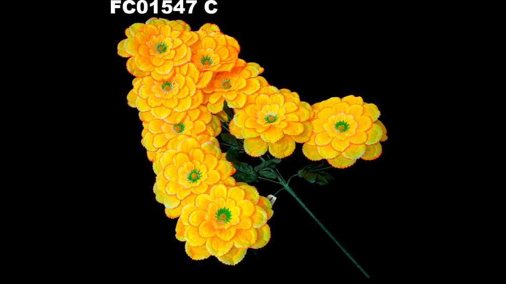 Ramo grande de 8 dhalias jumbo . Flor de 23 cm C