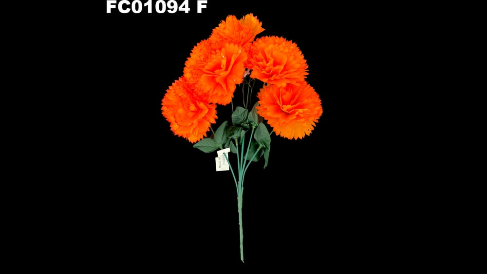 Ramo de Clavel *5 con Nube F