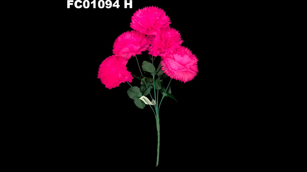 Ramo de Clavel *5 con Nube H