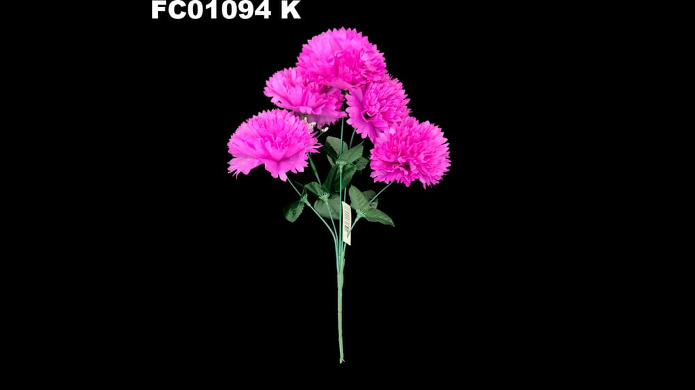 Ramo de Clavel *5 con Nube K