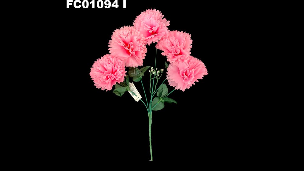 Ramo de Clavel *5 con Nube I