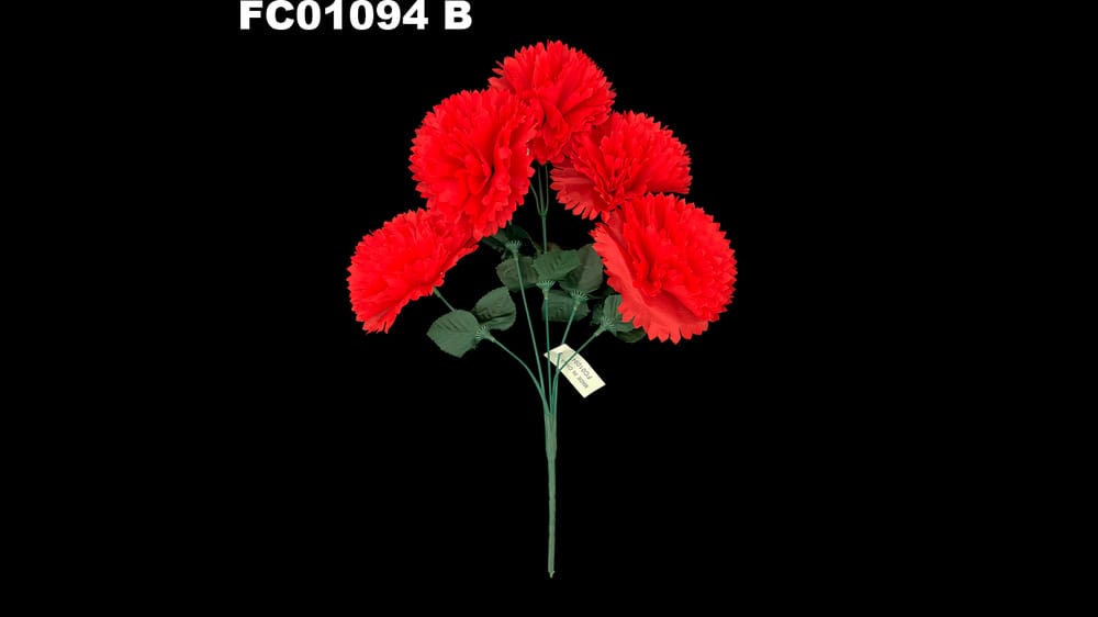 Ramo de Clavel *5 con Nube B