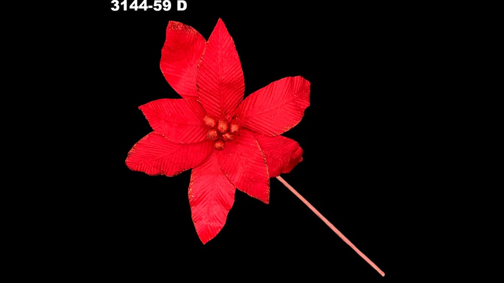 Nochebuena grande con brllos. Abre 30 cm D