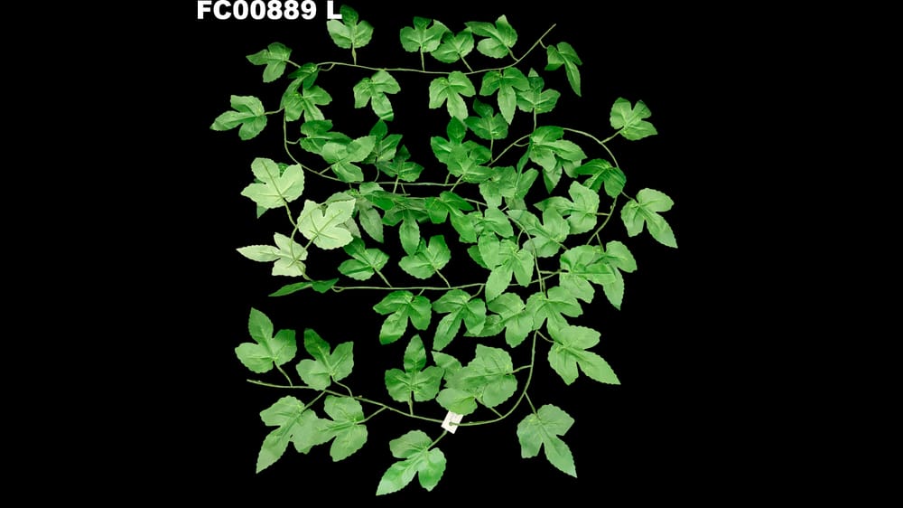 guía de follaje 2.8 m L