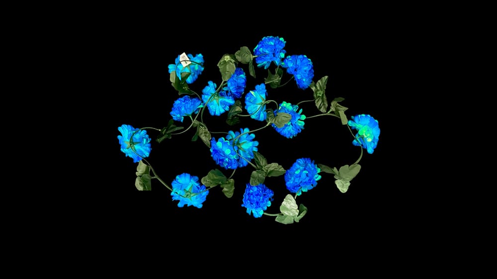 Guía cempazuchil tornasol con 15 flores. 2.9 m B