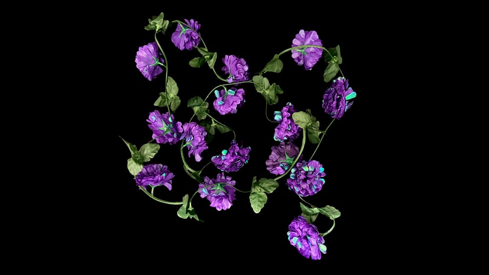Guía cempazuchil tornasol con 15 flores. 2.9 m H