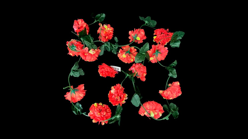 Guía cempazuchil tornasol con 15 flores. 2.9 m E