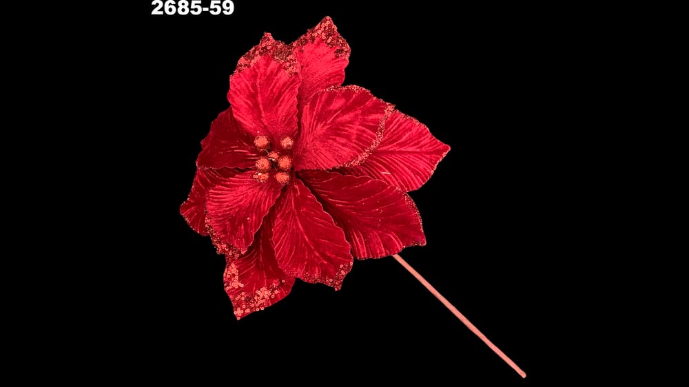 Vara nochebuena fina terciopelo. Flor abre 30 cm 