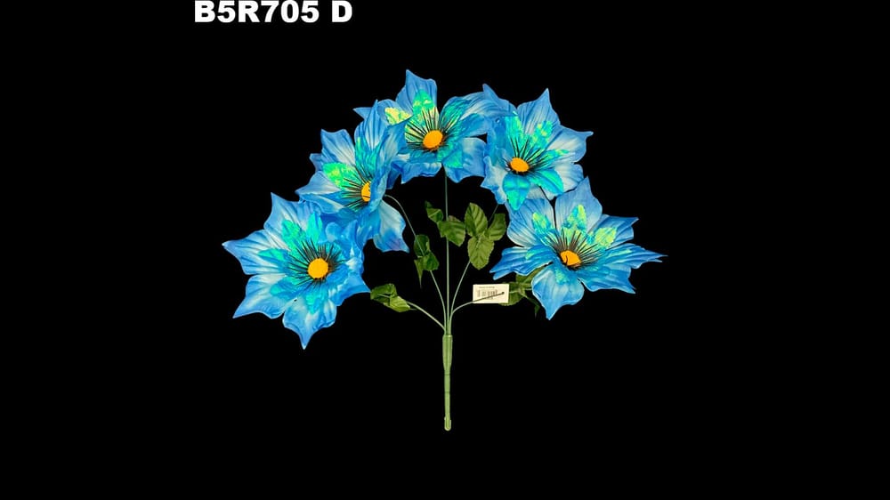 Dhalia Satinada *5 con Tornasol y Pestañas, Flor de 17 cm D