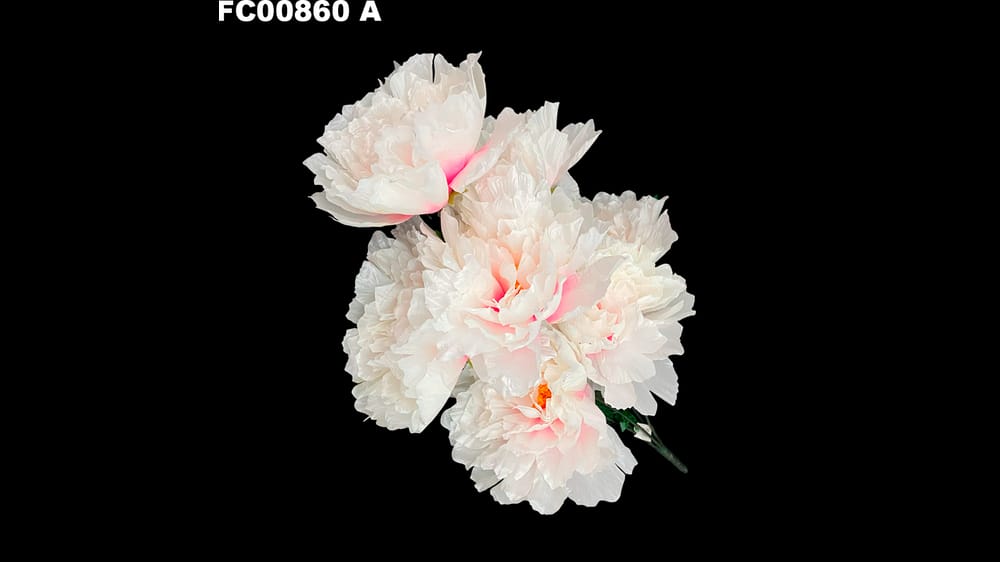 ramo peoni jumbo con 7 flores ( 73 cm)