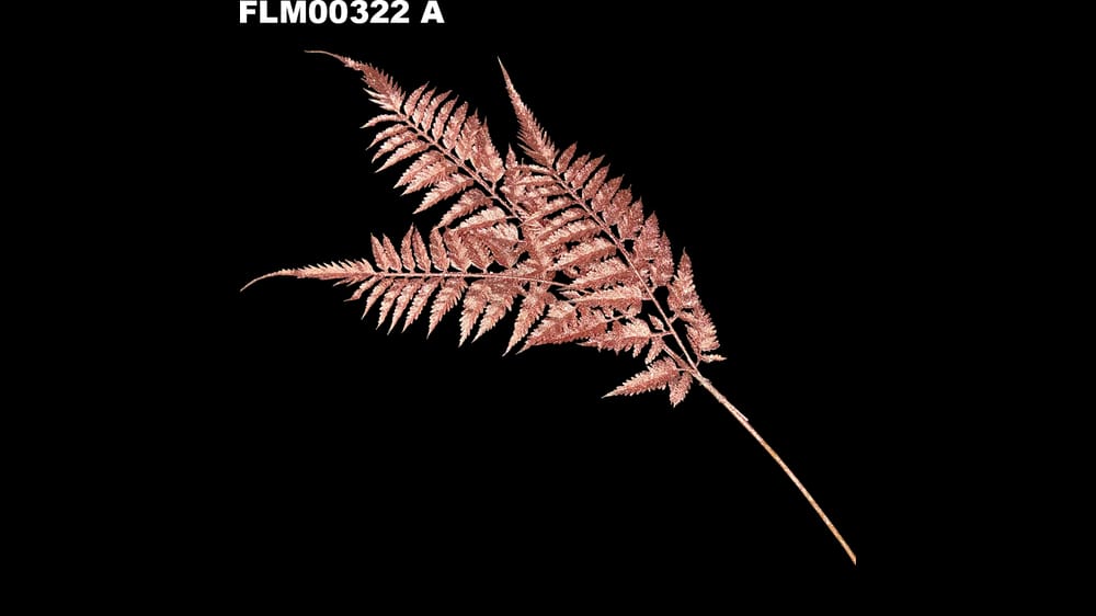 Vara grande de helechos metálicos. Mide 85 cm