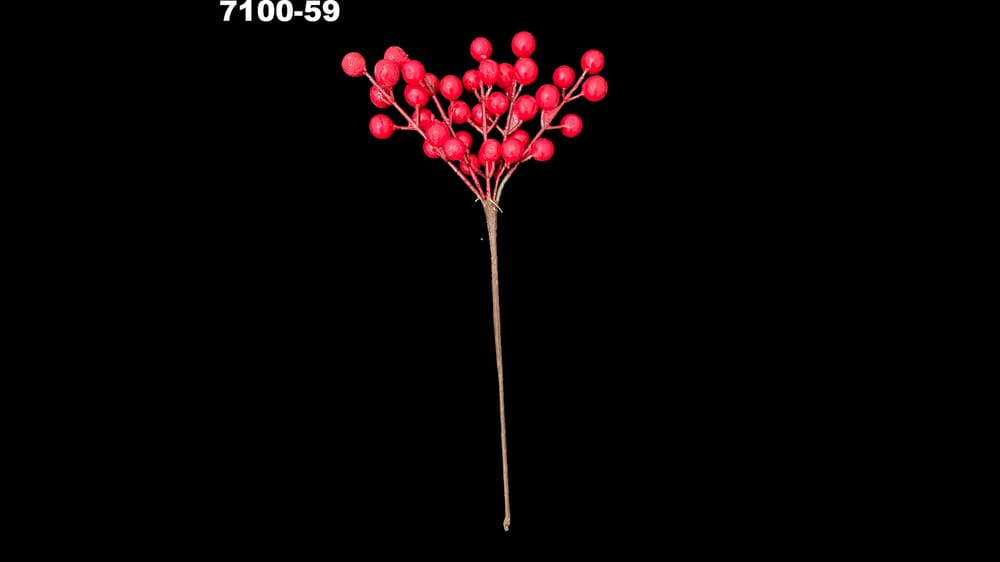 Varita de berries de 28 cm