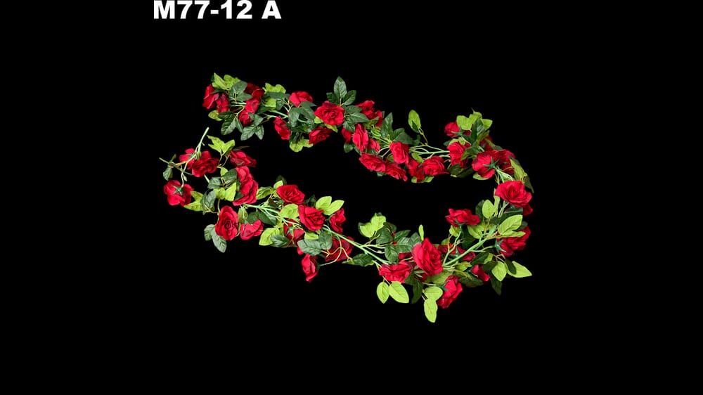 Guía de rosal fina. Mide 1.70 metros