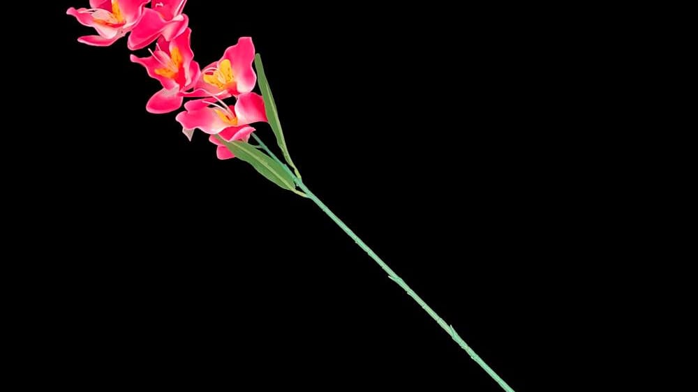 Vara de orquidea *10 Mide 90 cm