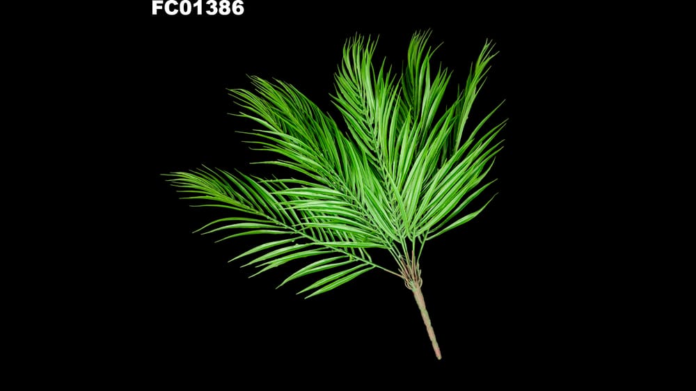 Planta de palma *9. Mide 50 cm