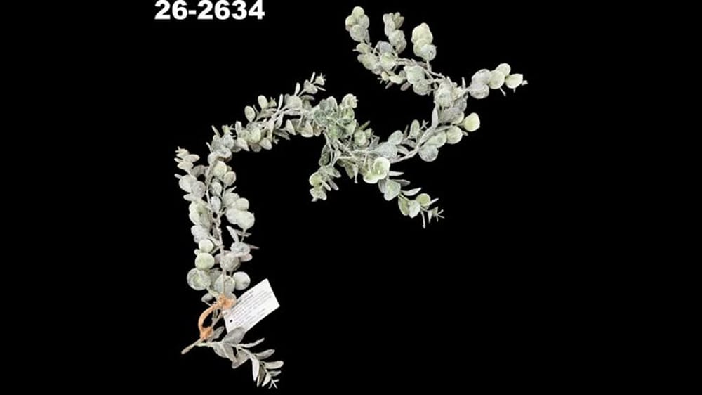 Guía de dólar nevada. Mide 1 metro
