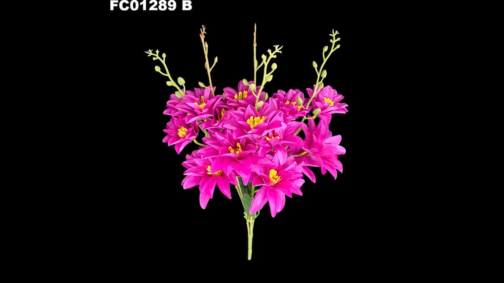 Ramo mediano de dhalia picuda con 20 flores