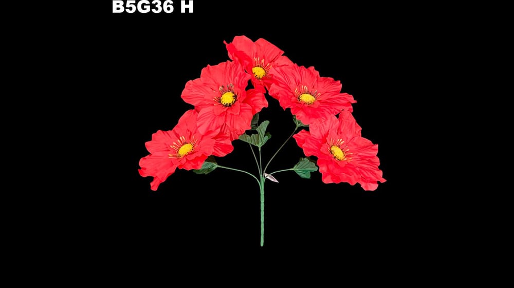 Dhalia satinada *5 pistilo brilloso.Flor de 16 cm