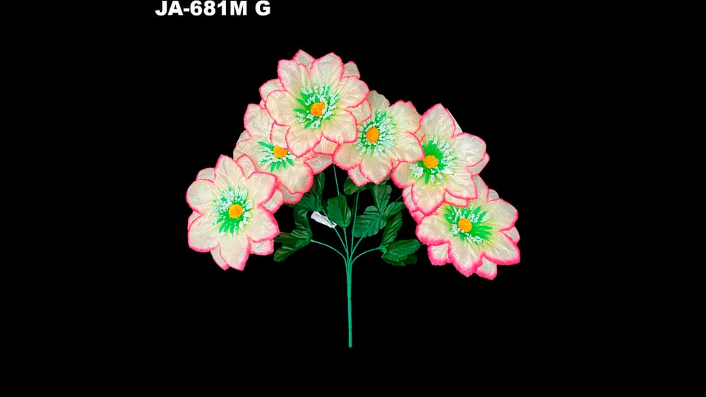 Dhalia peacock* 6 con polen y dimantina flor de 15 cm