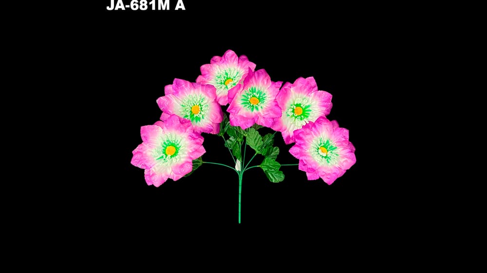 Dhalia peacock* 6 con polen y dimantina flor de 15 cm