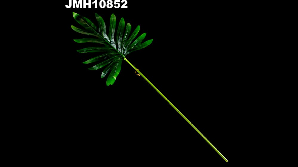 Vara de hoja garra de león Mide 60 cm . Hoja 27 cm
