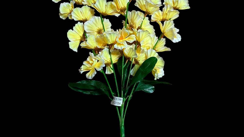 Ramo de gladiola *5 matizada
