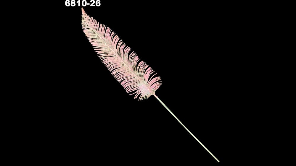 Vara pluma diamantada. Mide 75 cm