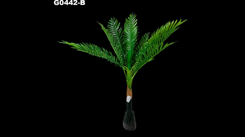 Planta palma areca. Mide 95 cm