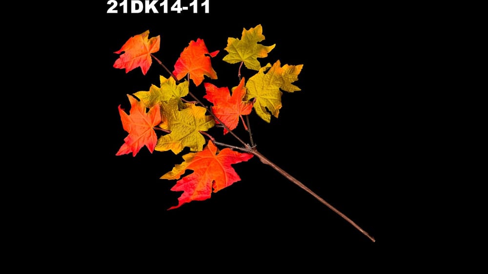 vara follaje otoñal tipo maple 50 cm con naranja