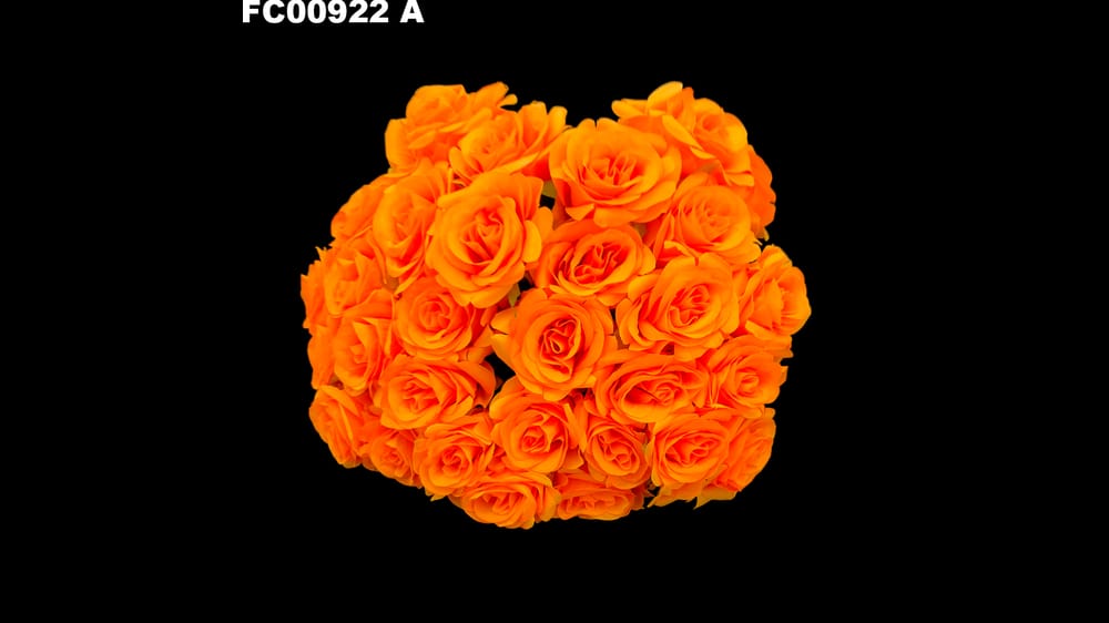 Ramo de Botón de Rosa *30 Tipo Bouquet