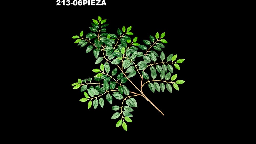 Ficus de hoja chica. La rama mide 60 cm