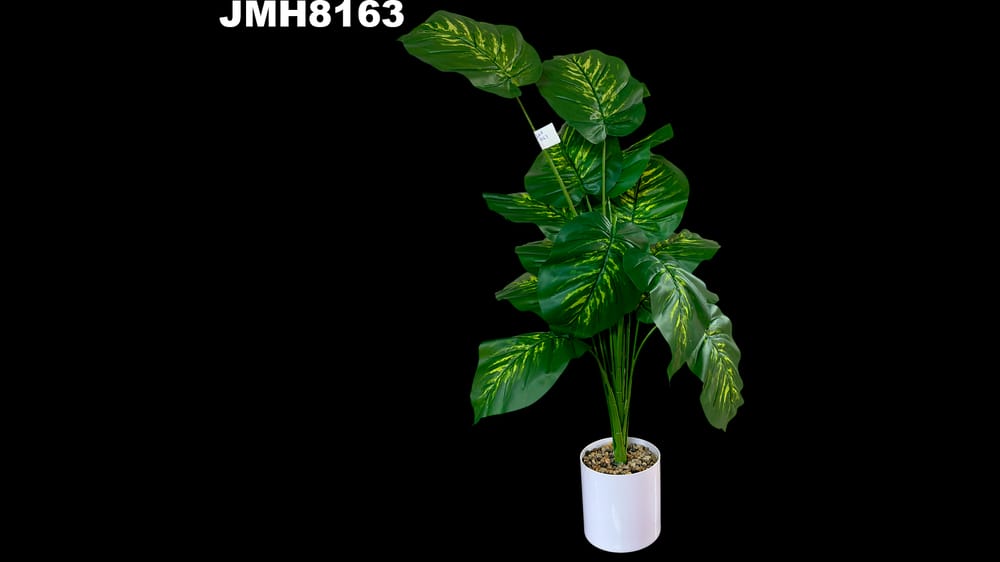 Planta diefenbachia con base. Mide 80 cm