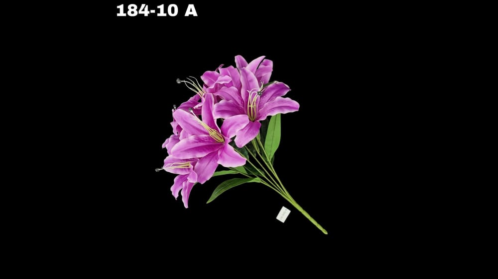 Ramo grande lily / casablanca *7 Mide 58 cm