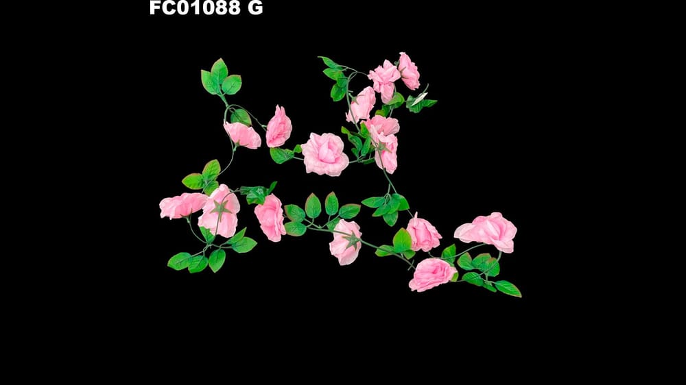 Guía de rosa *15 abierta de 2.9 mts