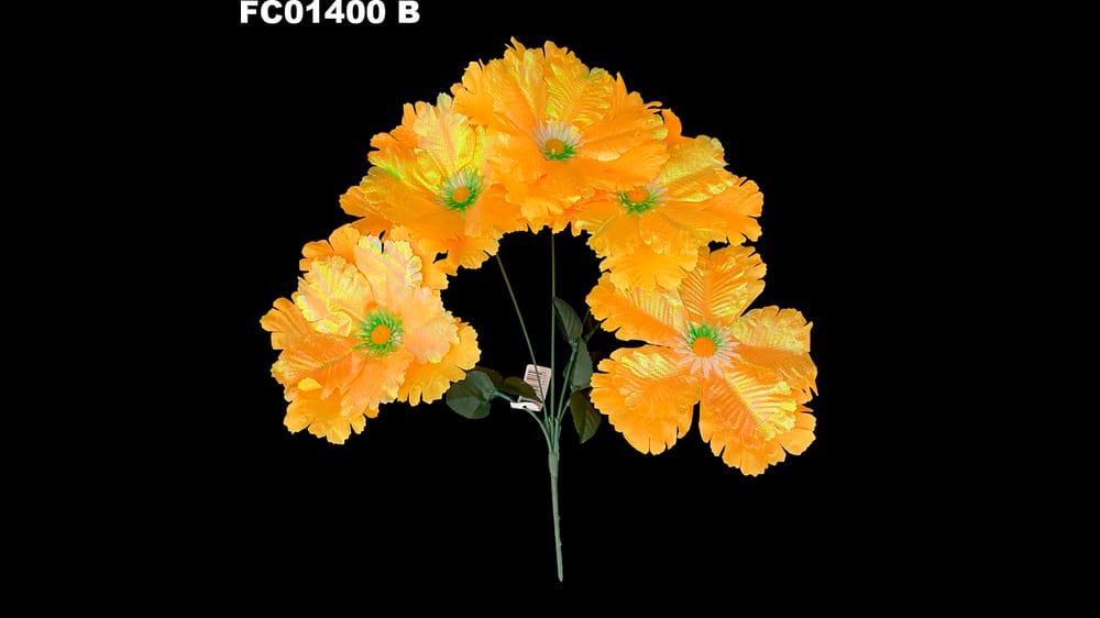 Dhaila recortada *5 con tornasol