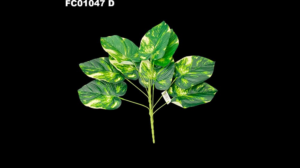 Planta de hojas varios modelos