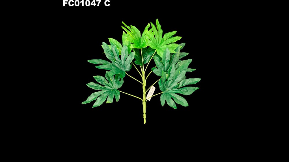 Planta de hojas varios modelos