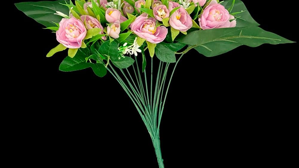 Ramito ranunculus*18 vintage